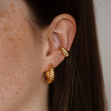 Jill Earcuff