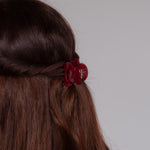 Claide Iva Haarklammer Frisur - Foto 7