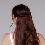 Claide Iva Haarklammer Frisur - Foto 3