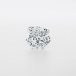 Claide Mya Haarklammer Produktfoto - Bild 1