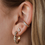 Daria Earcuff