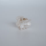 Scarlett Haarklammer