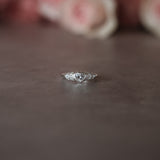 Princeton Ring