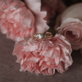 Princeton Ring