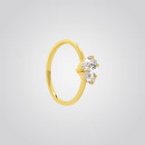 Odilia Ring