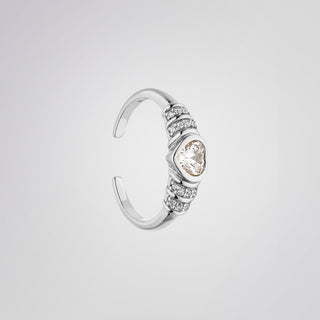 Princeton Ring